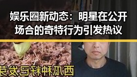 娱乐圈新动态:明星在公开场合的奇特行为引发热议