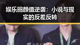 娱乐圈颜值逆袭:小说与现实的反差反转